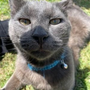 Meet your Posher, Ava